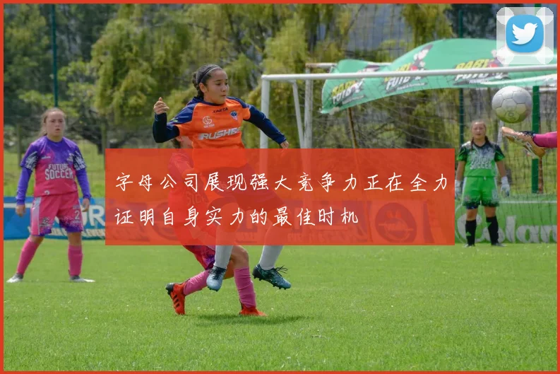 字母公司展现强大竞争力正在全力证明自身实力的最佳时机