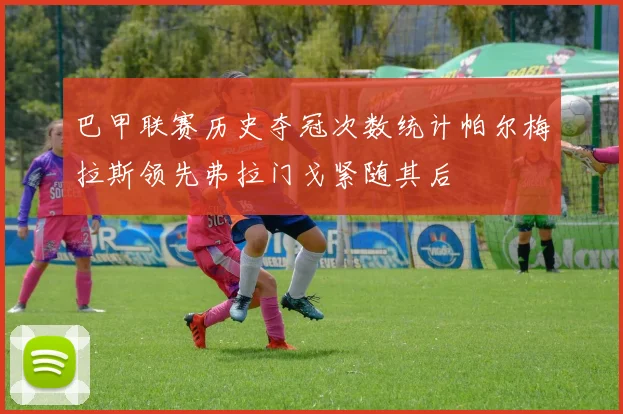 巴甲联赛历史夺冠次数统计帕尔梅拉斯领先弗拉门戈紧随其后