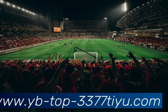 3377体育平台生态图